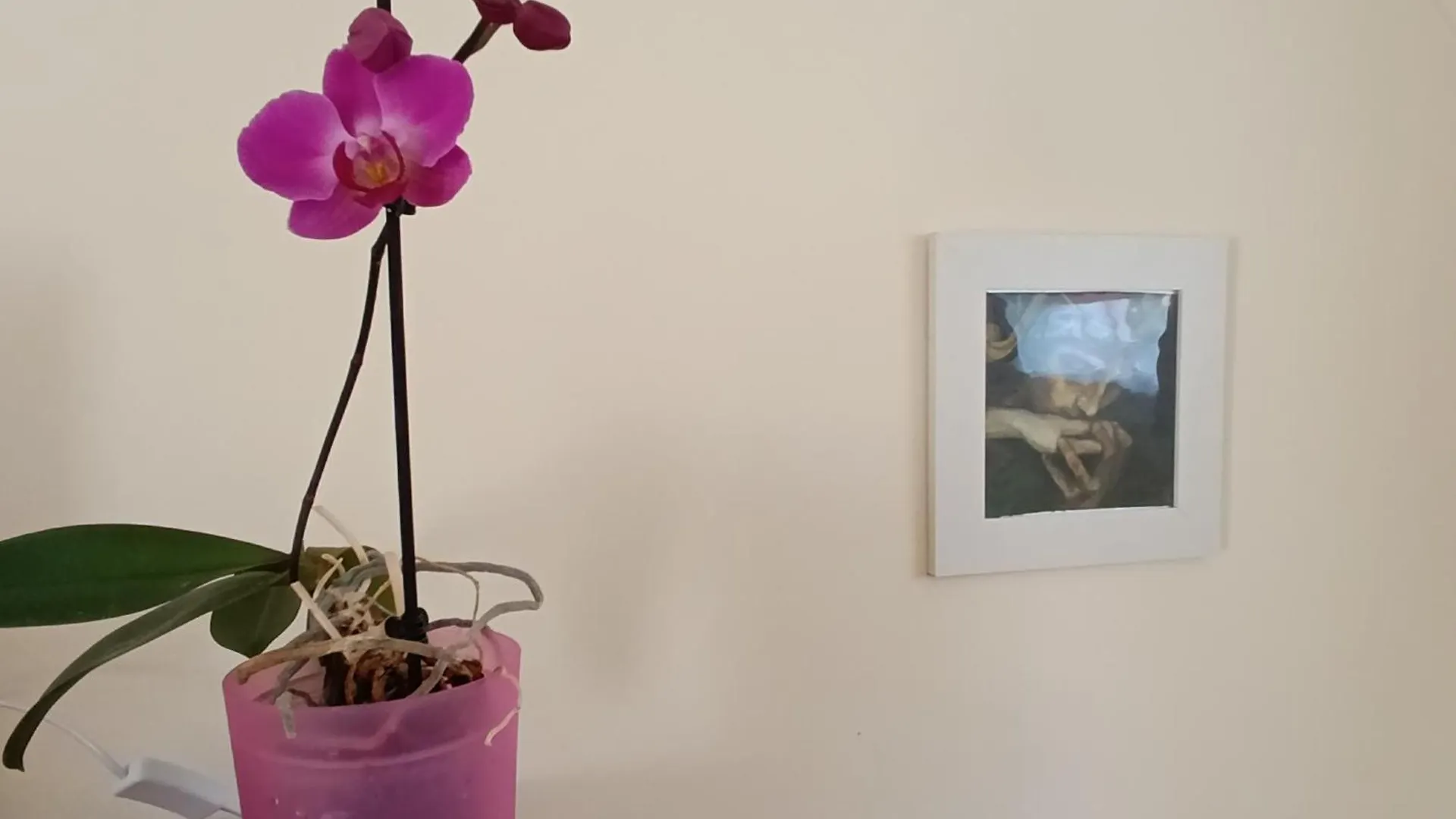 Céhmesterek apartman Eger